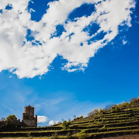 Nyaraló Le 1531 Kaysersberg-Vignoble