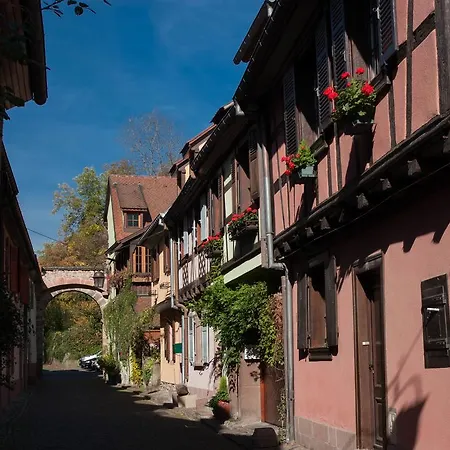 Le 1531 *