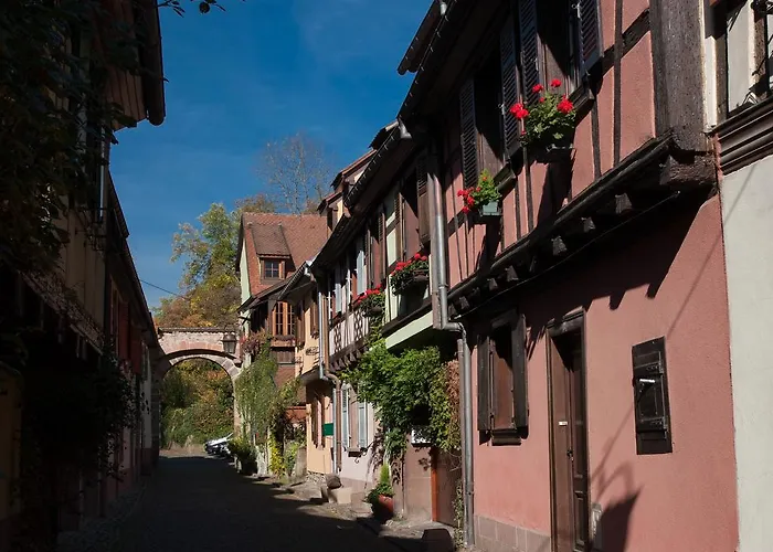 Le 1531 *
